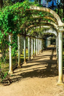 Arbor in the garden partially covered by plants on a sunny afternoon, Brazil