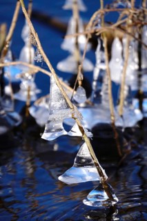 Ice on the banks of the Elbe, Winter, Dresden, Saxony, Germany