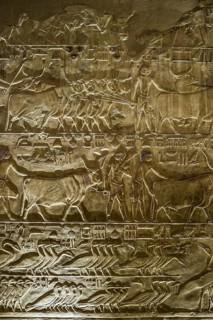 Tomb of Ptahhotep, Sakkara, Saqqara, UNESCO World Heritage Site, Memphis, Cairo, Egypt