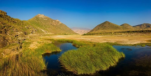 Landscape in Oman, mountains, Wadi Ashawq, road, reeds, waters Salalah, Al Mughsyal / Wadi Ashawq,