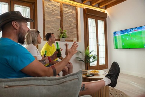 Friends celebrating a scoring moment while watching soccer on television. Joyful reactions, casual