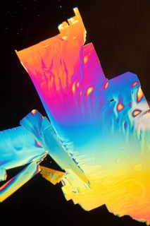 Microscopic view of Vitamin C crystals displaying a vibrant spectrum of colors, including pink,