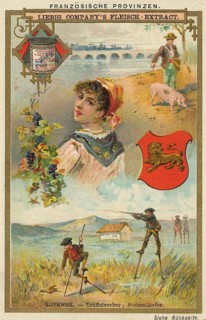Picture series French provinces, France, Guyenne, truffle hunter and Black-winged Stilt walker,