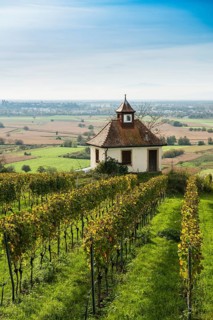Chapel in the vineyards, Blankenhornsberg, near Ihringen, Kaiserstuhl, Baden-Württemberg, Germany