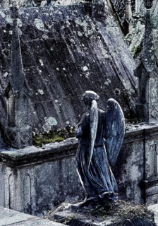 Cemitério da Lapa, Lapa Cemetery, European Cemetery Route, Association of Significant Cemeteries of