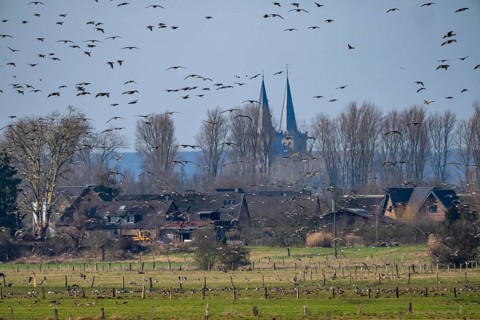 Bislicher Insel, nature reserve on the Rhine, Altrheinarm, near Xanten, Lower Rhine, Wesel