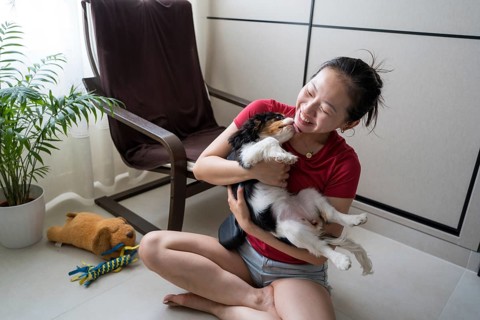 A young woman joyfully trains her Cavalier King Charles Spaniel at home. She engages with her