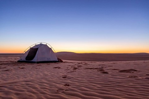 A single tent in the desert against a clear sky at sunrise, surrounded by sand dunes, camping in
