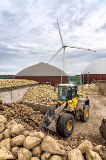Biogas plant produces gas from various biomass, here the sugar beet storage, the electricity is