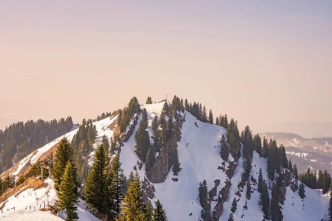 Snowy summit surrounded by pine trees, quiet winter atmosphere, Hochgrat Mountains, Allgäu Alps,