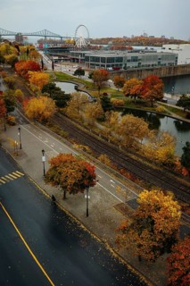 Aerial view of Montreal in autumn, showcasing vibrant fall foliage alongside iconic city features