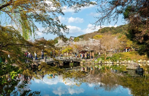 Bridge over Gourd Pond in Maruyama Park, cherry blossoms in spring, Kyoto, Japan