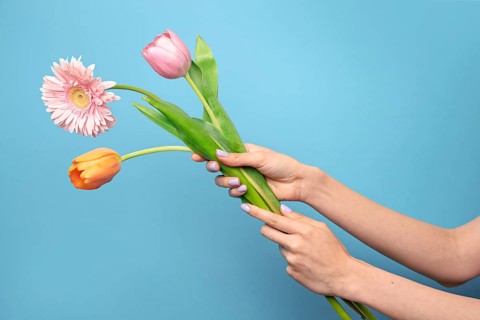 Woman's hands gently holding a bouquet of colorful flowers, including pink and orange blooms, set