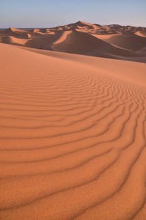 Dunes in the morning light, Great Sand Sea, Sahara, Merzouga, Meknès-Tafilalet region, Morocco