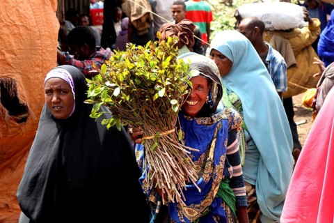 ETH Awaday, Khat, Market