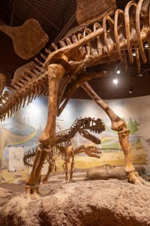 Vernal, Utah, The Utah Field House of Natural History State Park Museum displays dinosaur models,