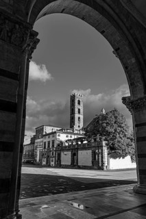 View of Piazza San Martino, historic city centre, black and white photograph, Lucca, Tuscany, Italy