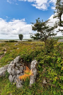 Hiking trail in karst landscape, lake on the horizon, Burren National Park, County Clare, Ireland
