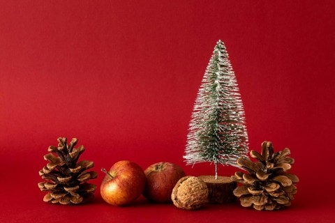 Christmas decoration, Christmas, decoration, Christmas tree, apples, nuts, pine cones, studio,