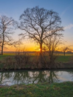 View across a ditch to the silhouettes of non-leafy trees at sunset, Kirchlinteln, Verden, Aller