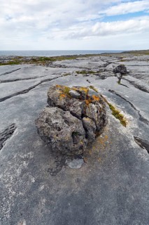 Bizarrely shaped limestone slabs, hiking trail along the coastline, limestone coast of the Burren,