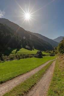 Agriculture, alpine pasture in the valley Zillergrund, mountain stream Ziller, alpine pasture,
