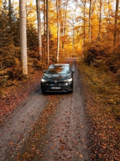 Vehicle on a forest path in a lively autumnal environment, electric car, VW ID5, Gechingen, Black