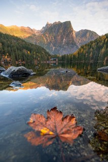 Autumn leaves in the water, mountain peaks of the Ötztal Alps reflected in Lake Piburger See, in
