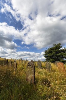 Overgrown old gravestones in a meadow, rows of graves in a cemetery, St Garmons Church, Capel
