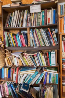 Various books displayed in bookcase for sale inside second hand goods and chattels store, Quebec,