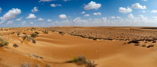 Sand dunes in the Wahiba Sands desert, Oman