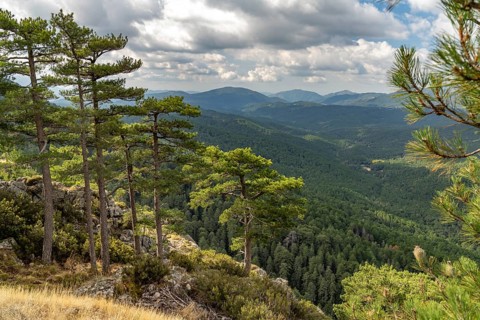 Mountainous landscape in the Bavella massif, Corsica, France