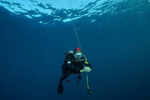 A female diver holds the line of a safety buoy swimming in calm, clear water, Giens Peninsula dive