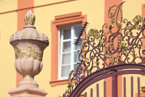 Gilded lid vase with metal grid, detail, baroque castle, Kirchheimbolanden, Rhineland-Palatinate,