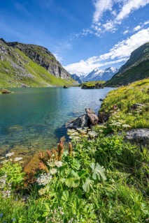 Mountain lake with view of mountain peaks, Lac du Louvie with summit Grand Combine, Valais Alps,