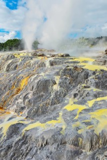Prince of Wales and Pohutu geysers erupting, Te Puia Thermal Valley, Rotorua, Bay of Plenty, North