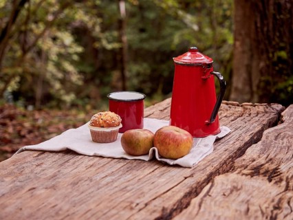 Snack in the woods. Muffin, apples, red cup and coffee pot on picnic table. Lunch outdoors in