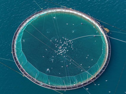 Cages of a salmon farm, at Raften at the Raftsund, the waterway between Lofoten and Vesteralen,