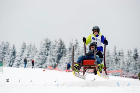Horn sled racing, Waldau, Black Forest, Baden-Württemberg, Germany