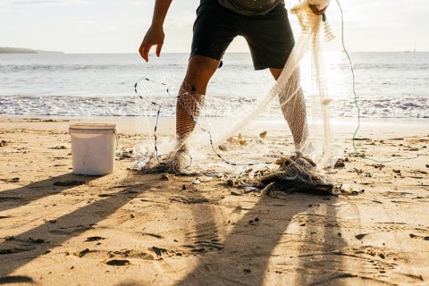 A fisherman stands on a sunlit beach, collecting his catch from a fishing net. Shadows stretch