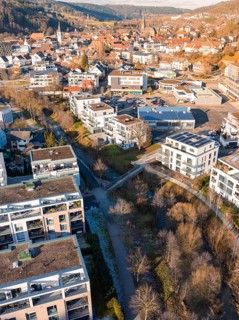 Urban landscape with mixed architecture and hilly background, Nagold, Black Forest, Germany
