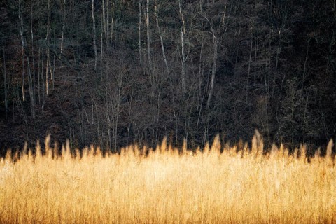 Landscape, Oberweser, Germany, German