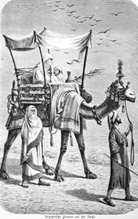 Veiled Egyptian woman travelling, armchair in basket, sun protection, heat, desert, drought,