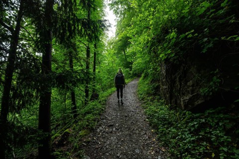 A woman walks along a lush forest trail at the foot of the Dolomites, surrounded by dense greenery