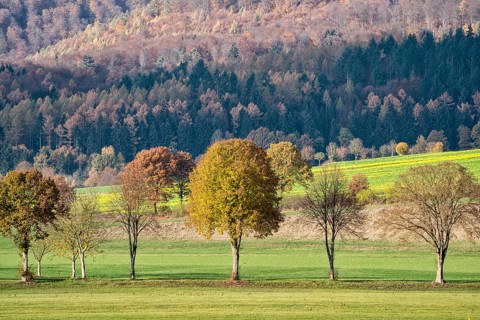 View of Solling forest, Weser River, Lower Saxony, Germany