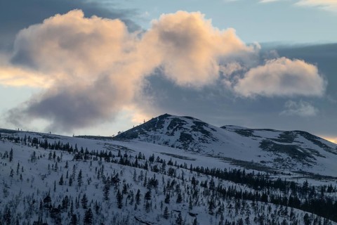 Evening atmosphere, Alvdal Vestfjell, Hedmark, Innlandet, Norway, March 2026