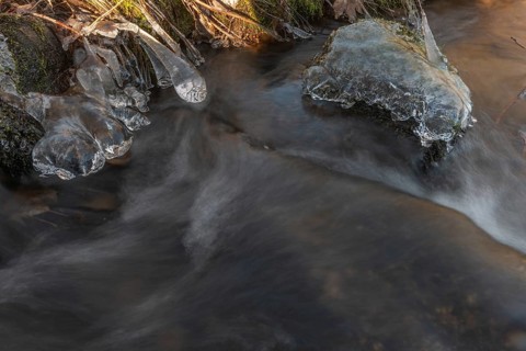 Branches are covered with ice near the river. The water flows gently and forms ice formations on