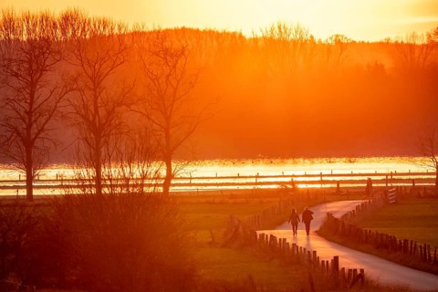 Bislicher Insel, in winter, floods in the floodplains due to Rhine flooding, nature reserve on the