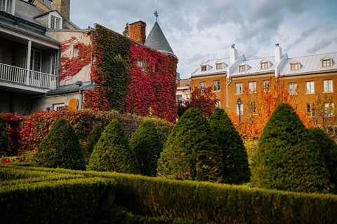A scenic view of historic buildings in Montreal, adorned by vibrant autumn foliage. The red and