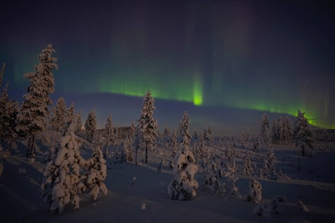 Northern Lights (Aurora borealis) over moonlit winter landscape, Nattavaara, Norrbotten, Lapland,